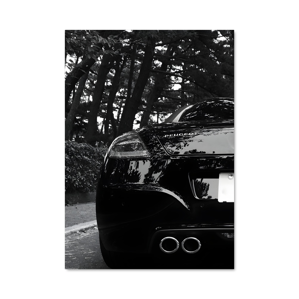 Poster splendide Rcz
