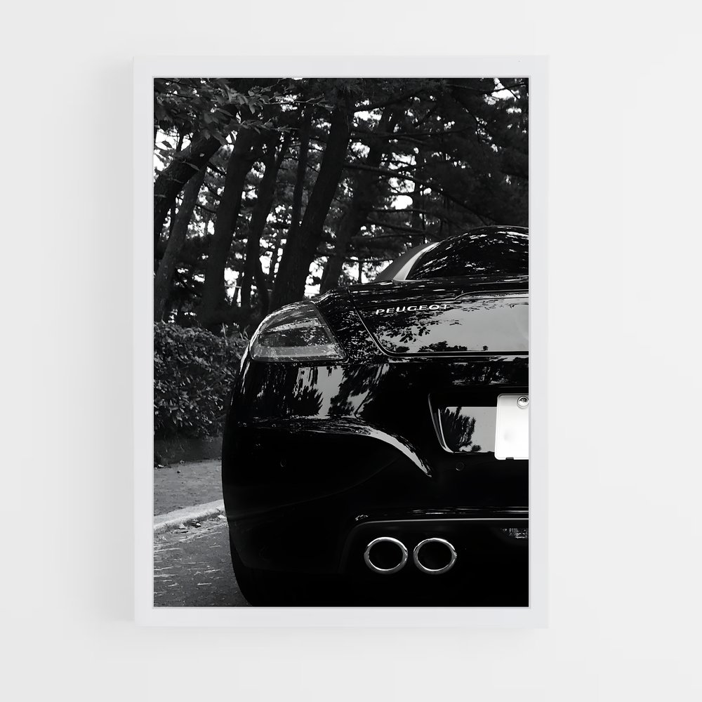 Poster splendide Rcz – affiche Peugeot (vue 3)