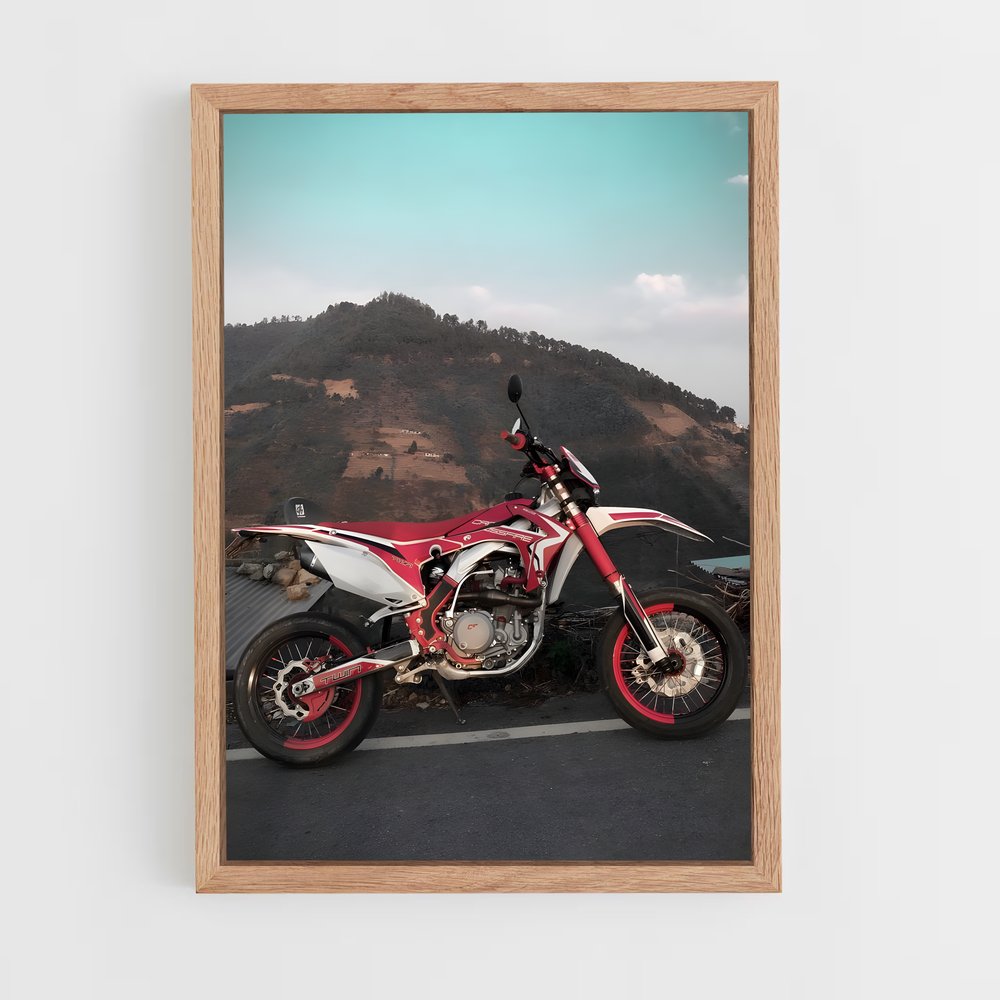 Poster magnifique Rm (vue 4)