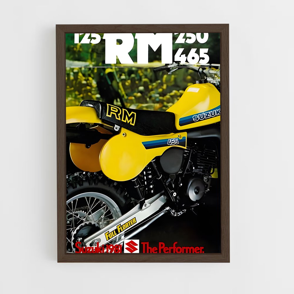 Poster Rm magnifique (vue 5)