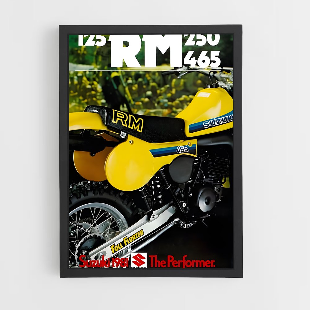 Poster Rm magnifique (vue 2)