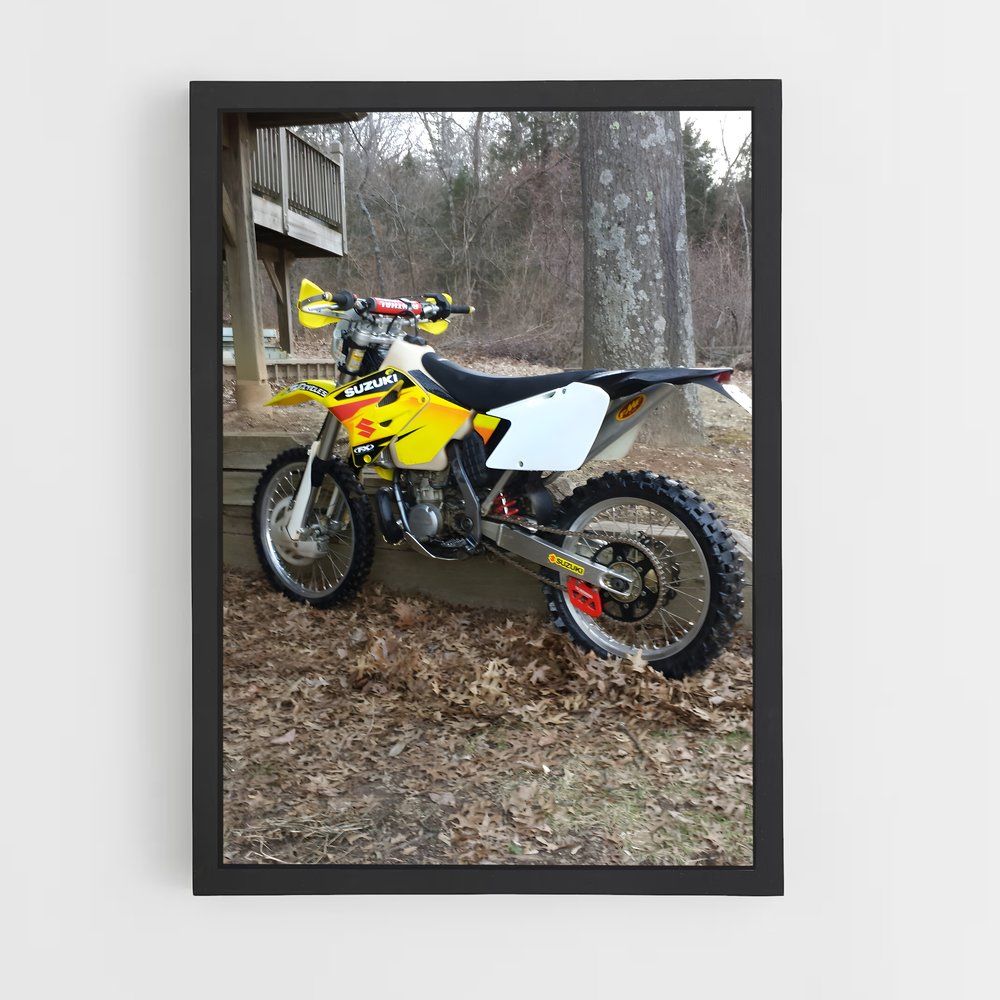 Poster splendide Rm (vue 2)