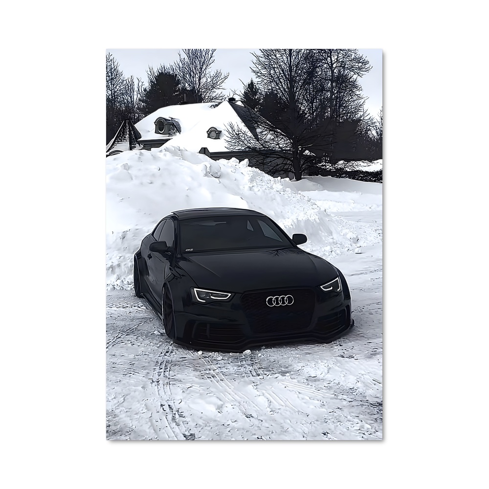 Poster Neige Noire
