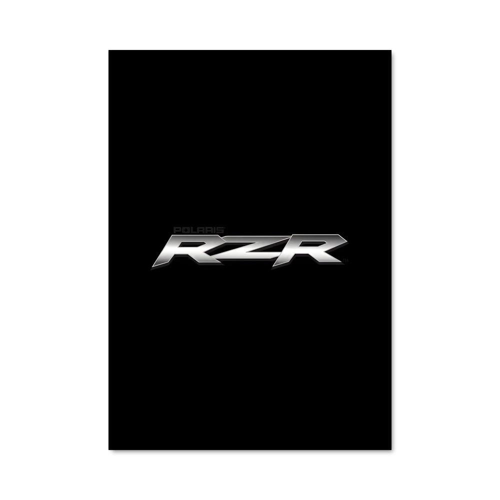 Poster RZR Revolution