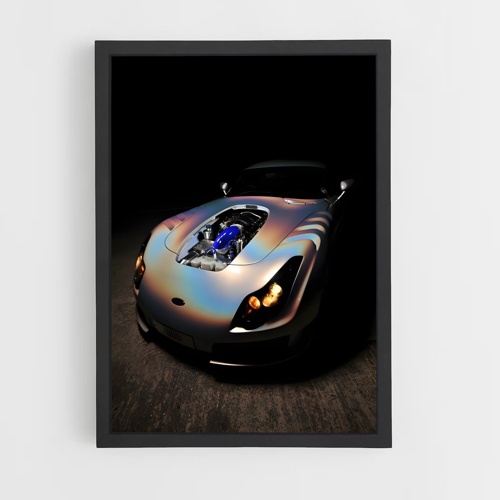 Poster Luminaire Argenté – affiche TVR (vue 2)