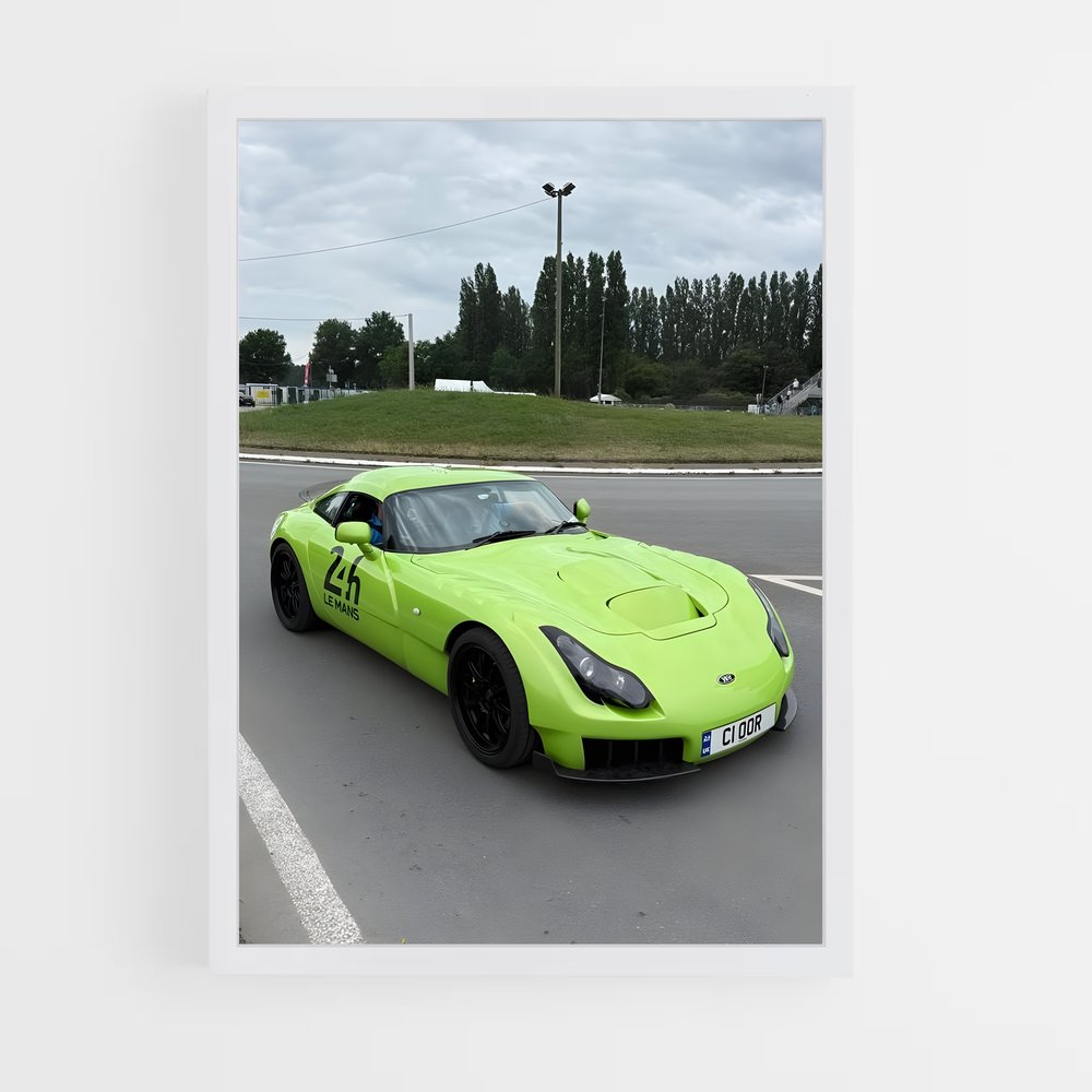 Poster Sagaris magnifique – affiche TVR (vue 3)