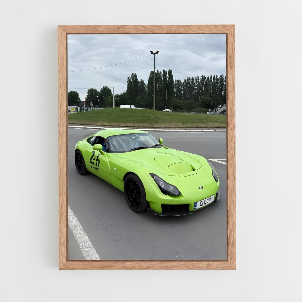 Poster Sagaris magnifique – affiche TVR (vue 4)