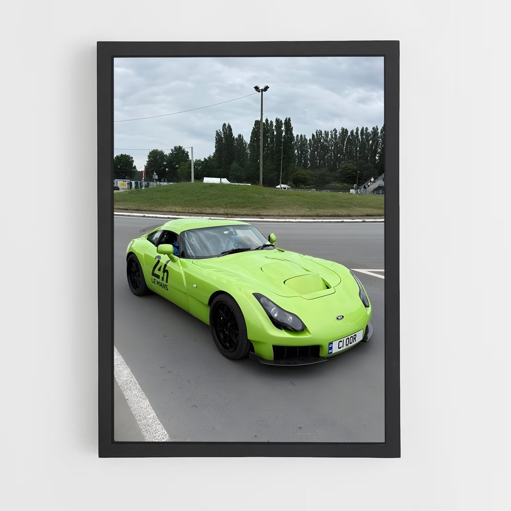 Poster Sagaris magnifique – affiche TVR (vue 2)