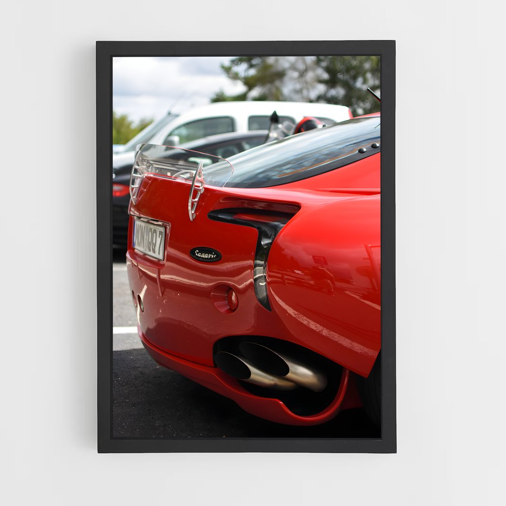 Poster Sagaris Éblouissant – affiche TVR (vue 2)
