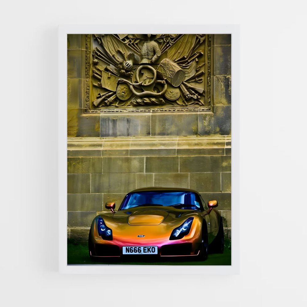Poster Sport et Style – affiche TVR (vue 3)