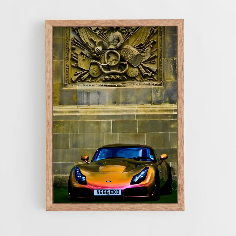 Poster Sport et Style – affiche TVR (vue 4)