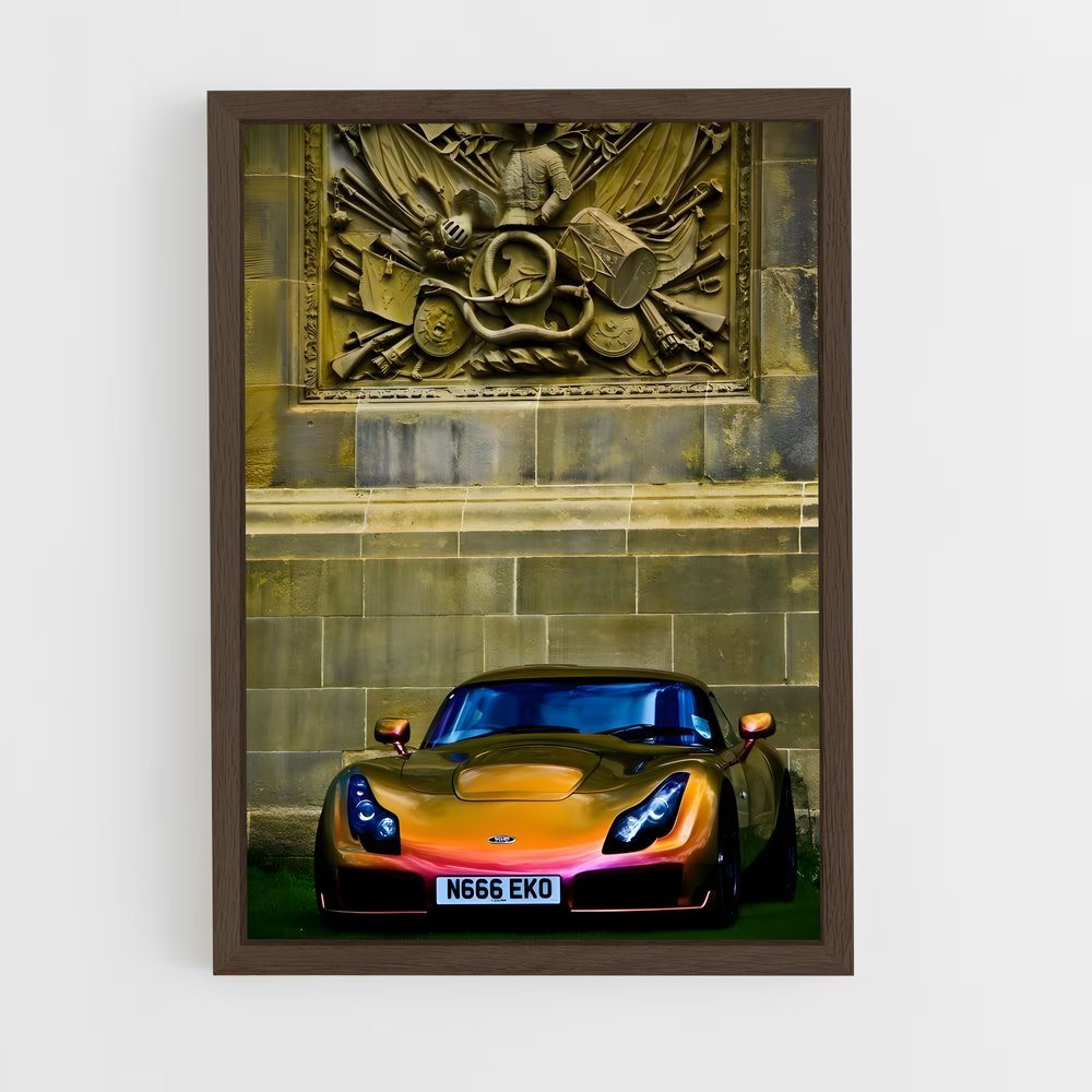 Poster Sport et Style – affiche TVR (vue 5)