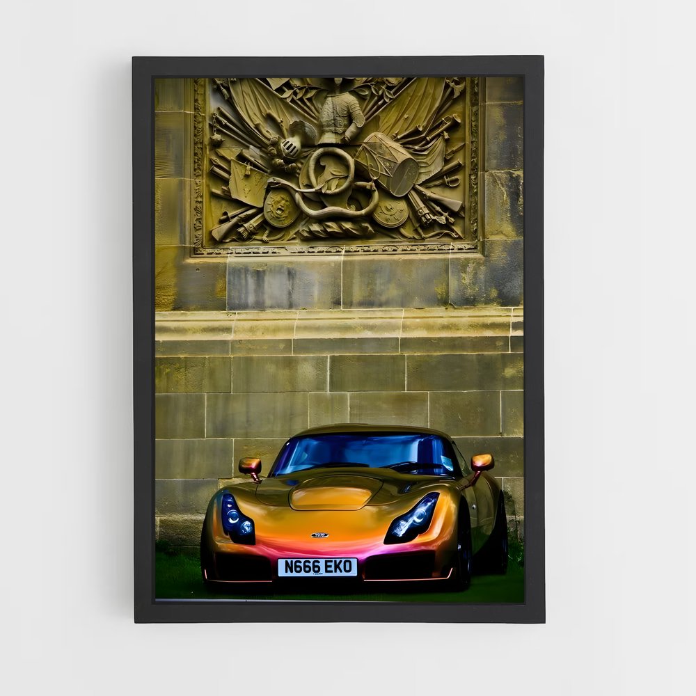 Poster Sport et Style – affiche TVR (vue 2)