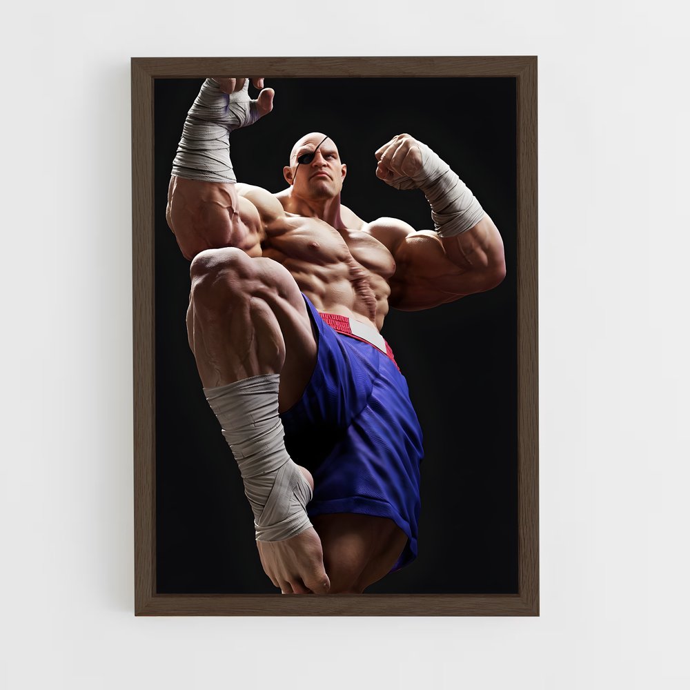Poster Muscle Titan – affiche Street Fighter (vue 5)