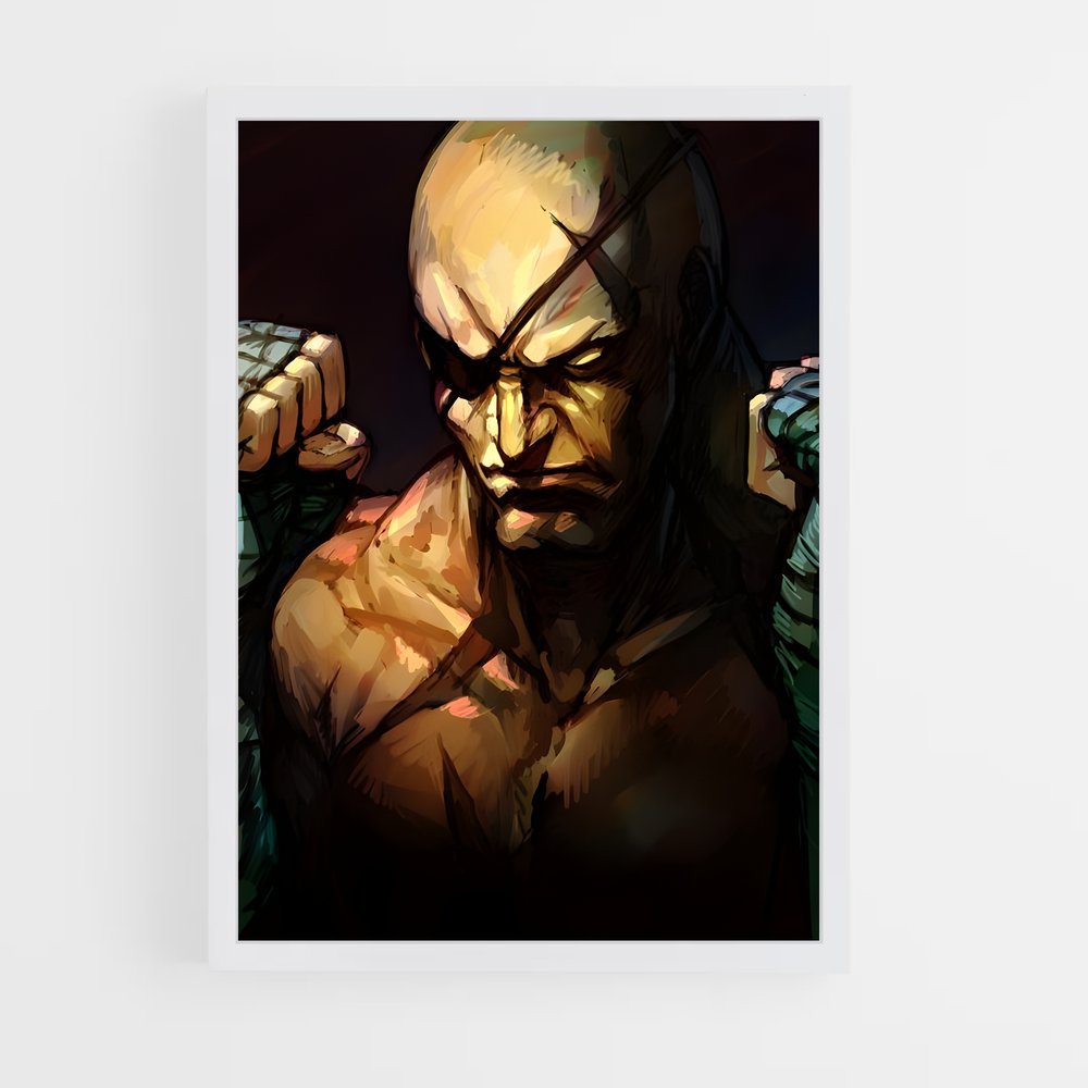 Poster Flashing Fury – affiche Street Fighter (vue 3)
