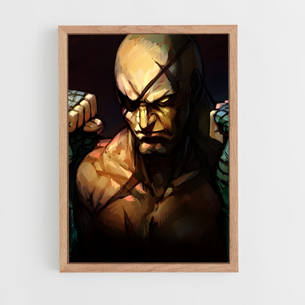 Poster Flashing Fury – affiche Street Fighter (vue 4)