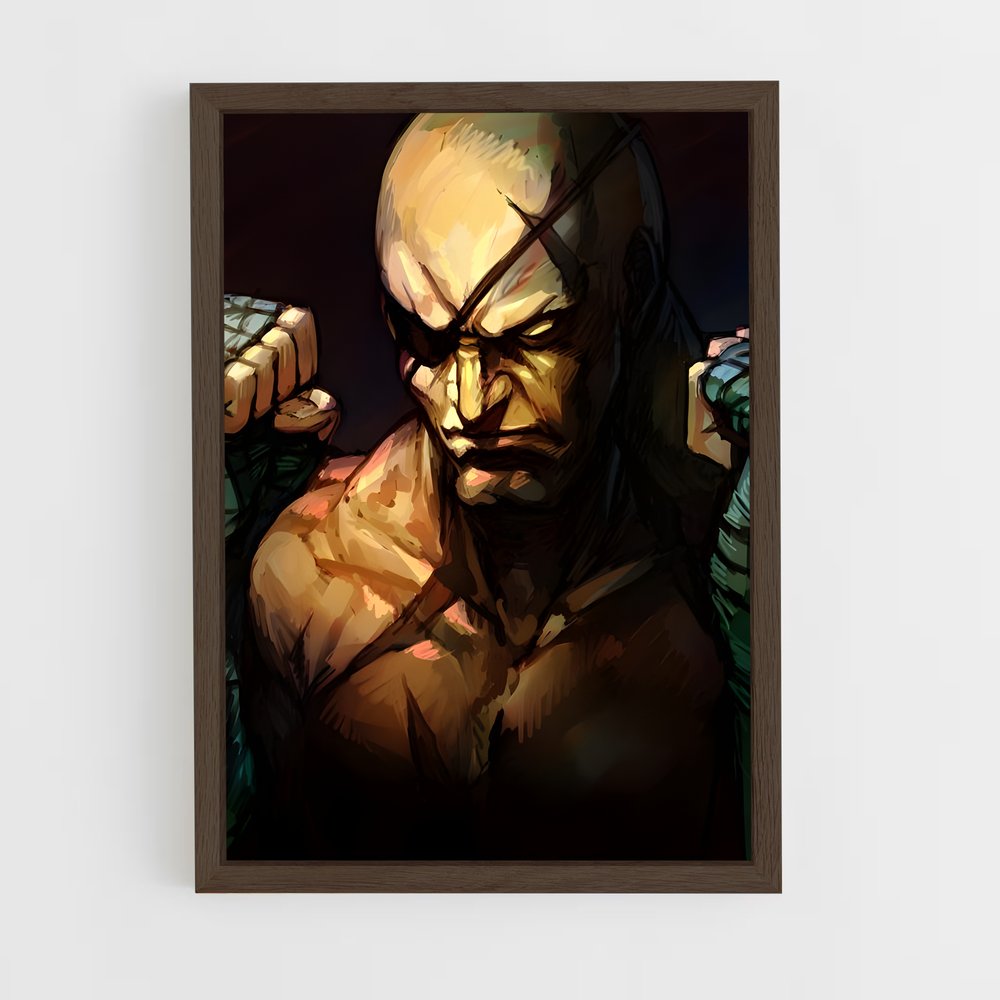 Poster Flashing Fury – affiche Street Fighter (vue 5)