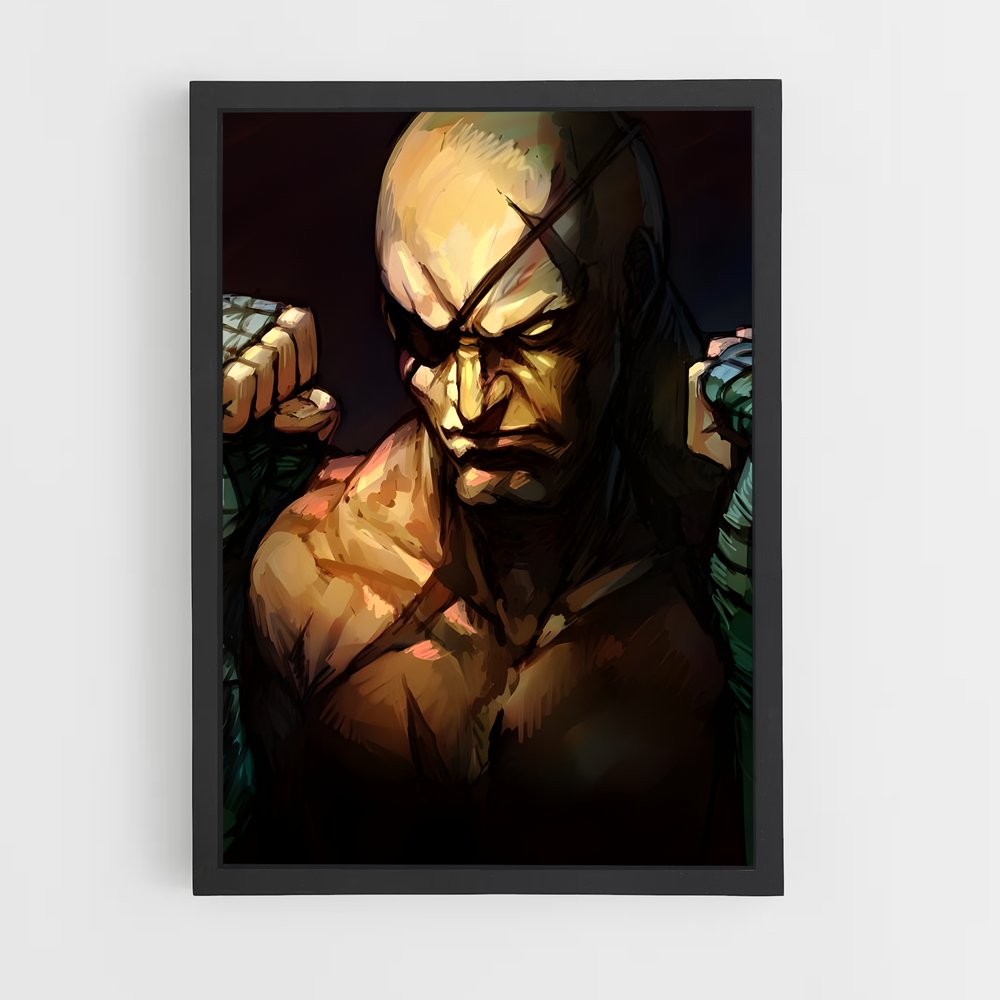 Poster Flashing Fury – affiche Street Fighter (vue 2)
