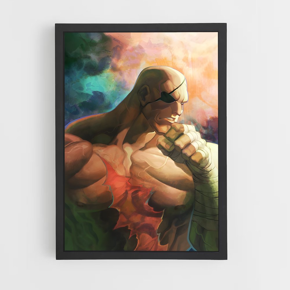 Poster Sagat coup – affiche Street Fighter (vue 2)