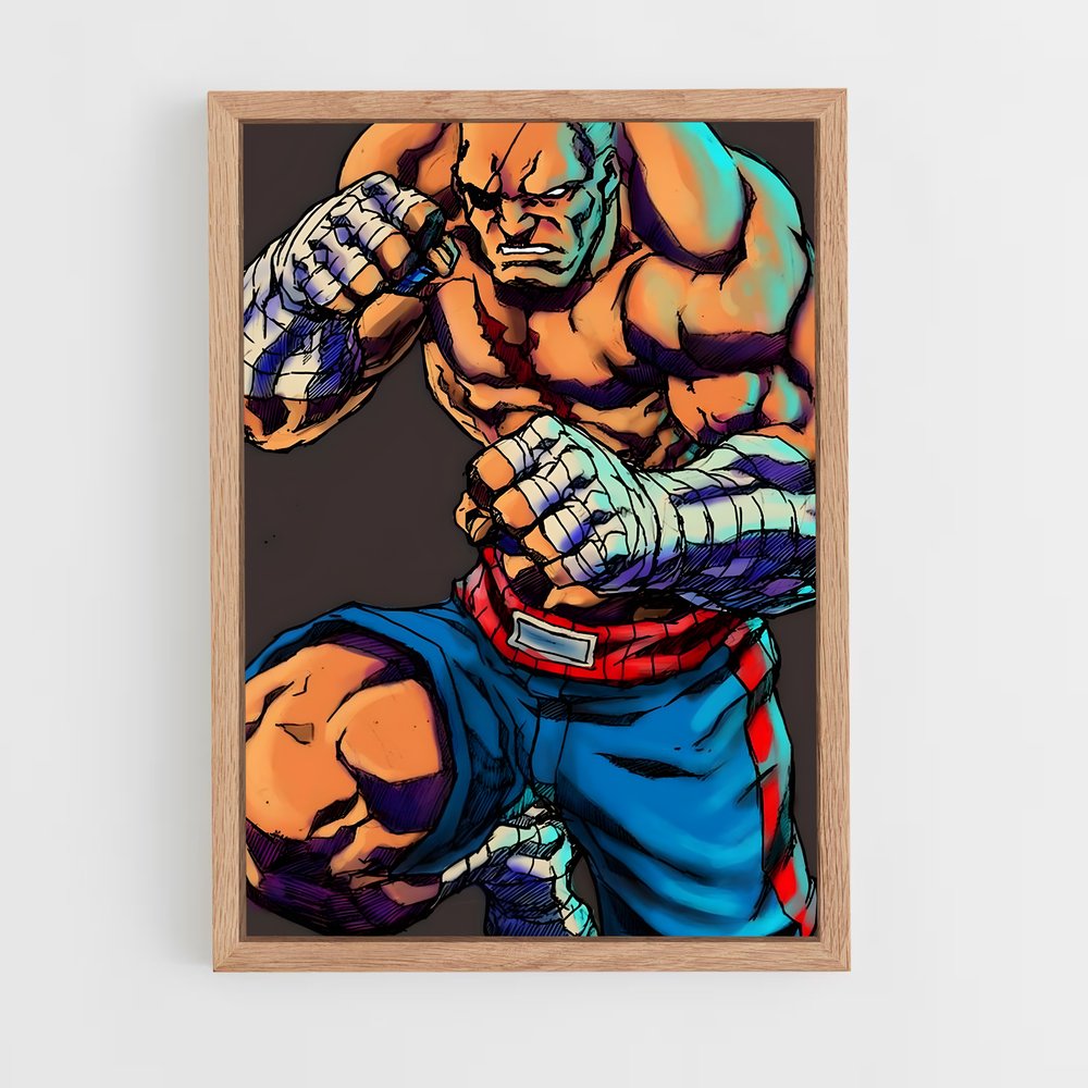 Poster Street Fighter Saga (vue 4)