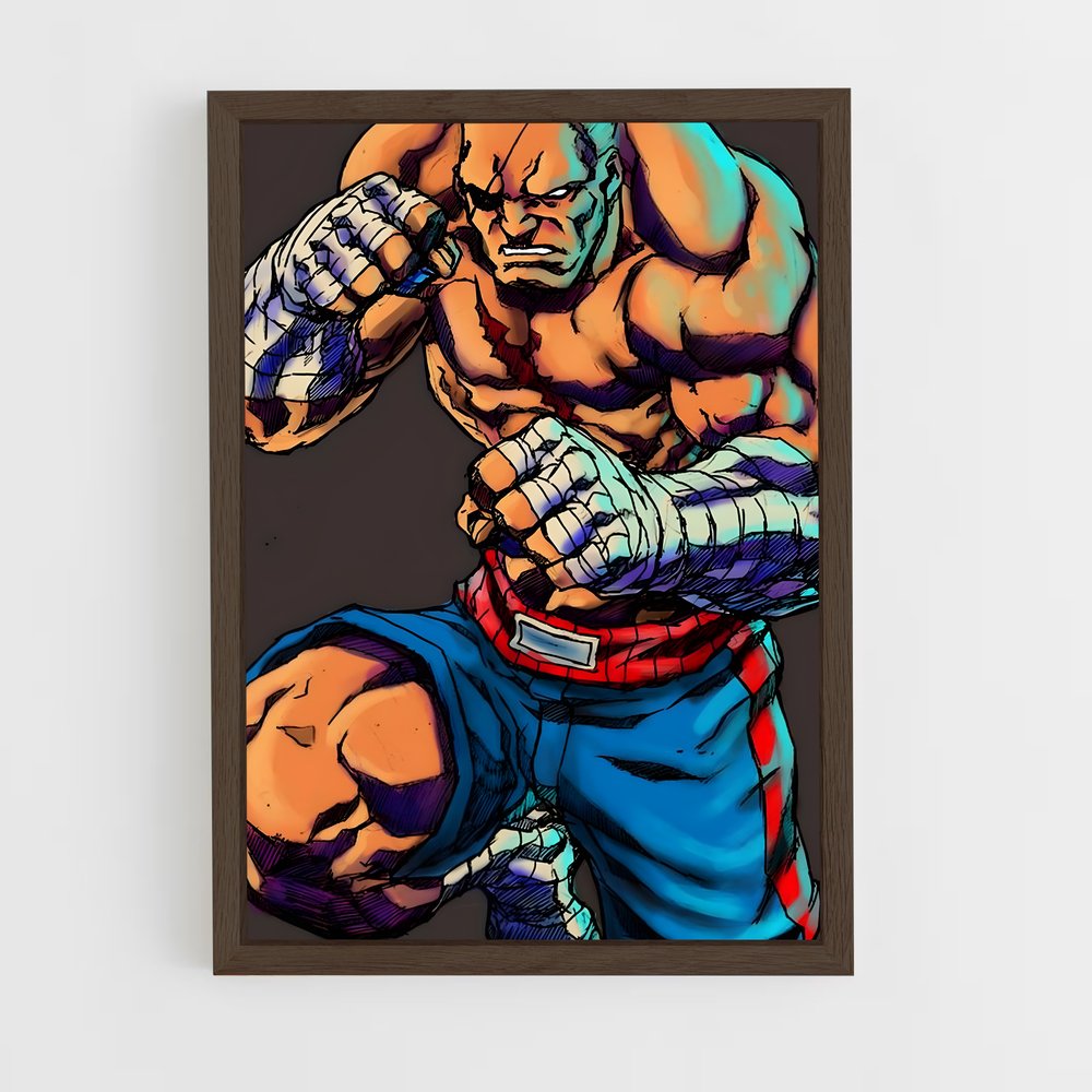 Poster Street Fighter Saga (vue 5)