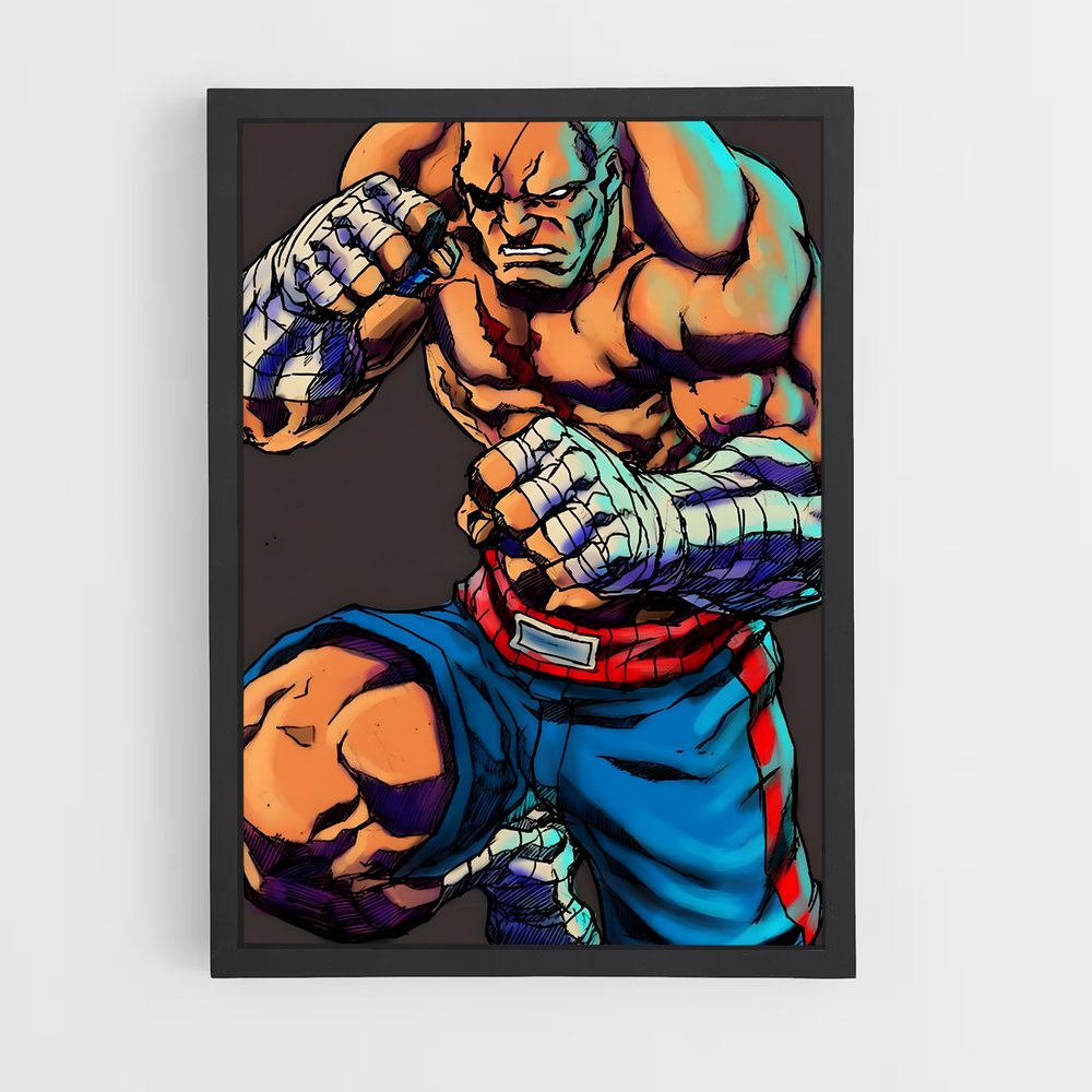 Poster Street Fighter Saga (vue 2)