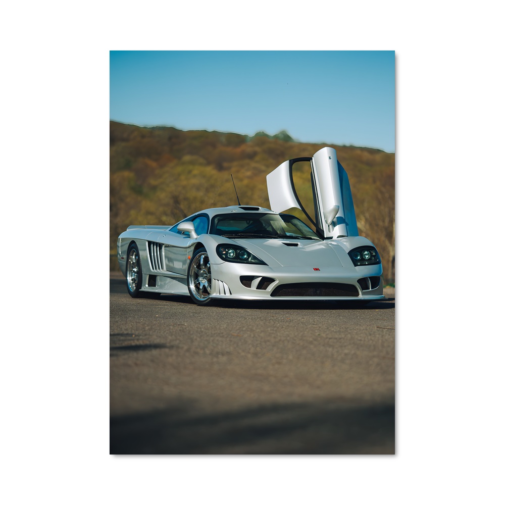 Poster raffiné Saleen