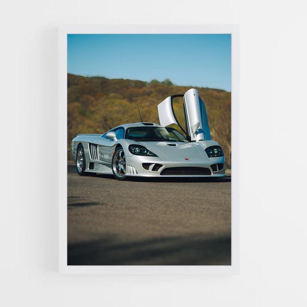 Poster raffiné Saleen (vue 3)