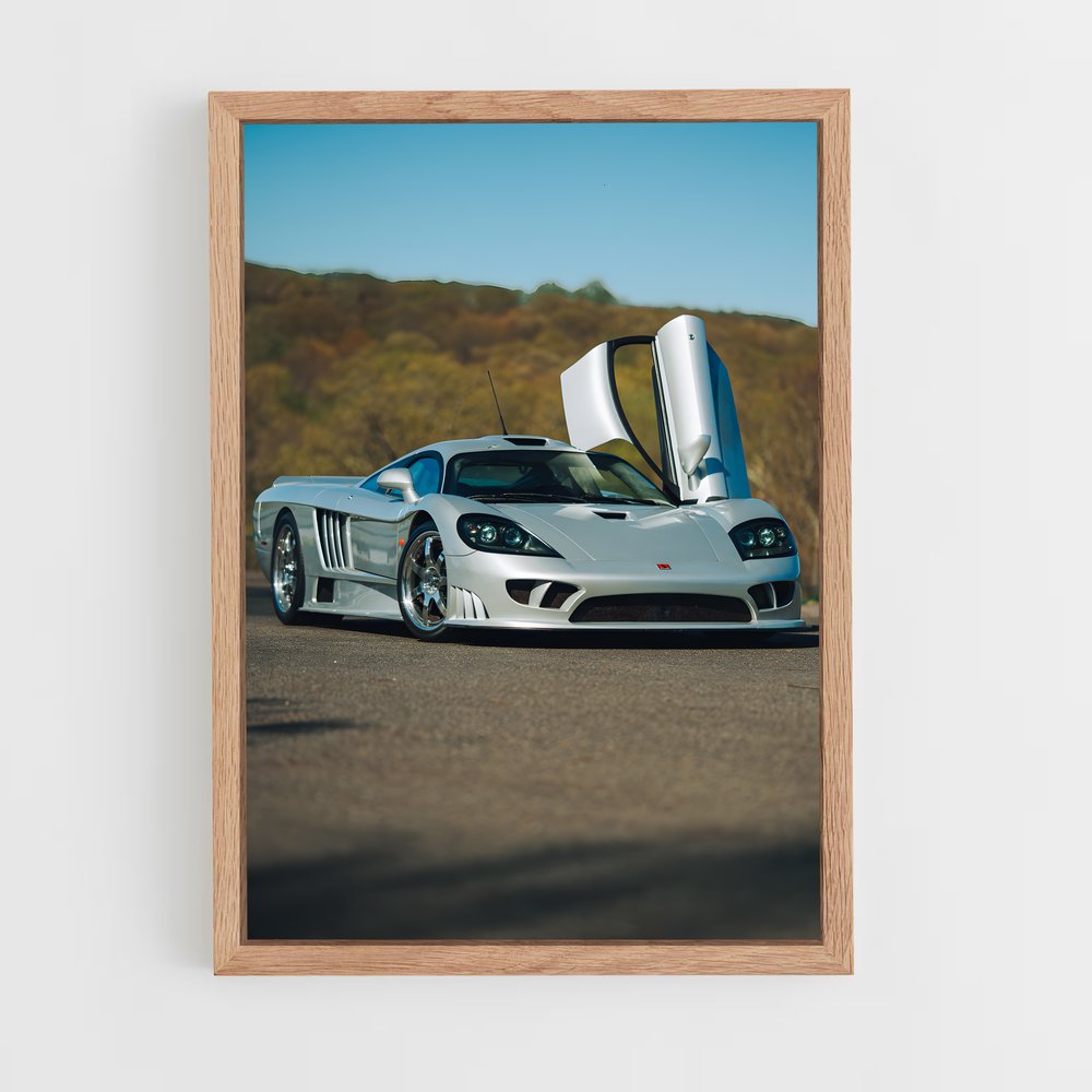 Poster raffiné Saleen (vue 4)