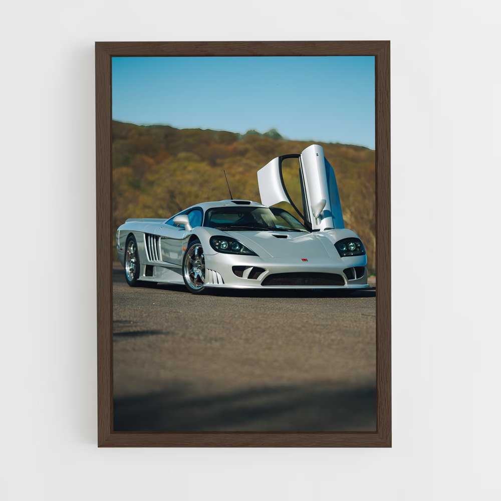 Poster raffiné Saleen (vue 5)