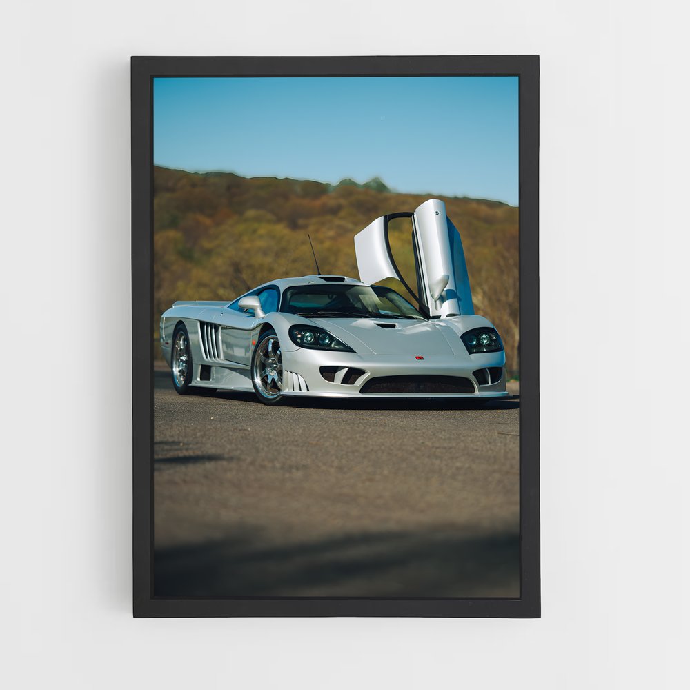 Poster raffiné Saleen (vue 2)