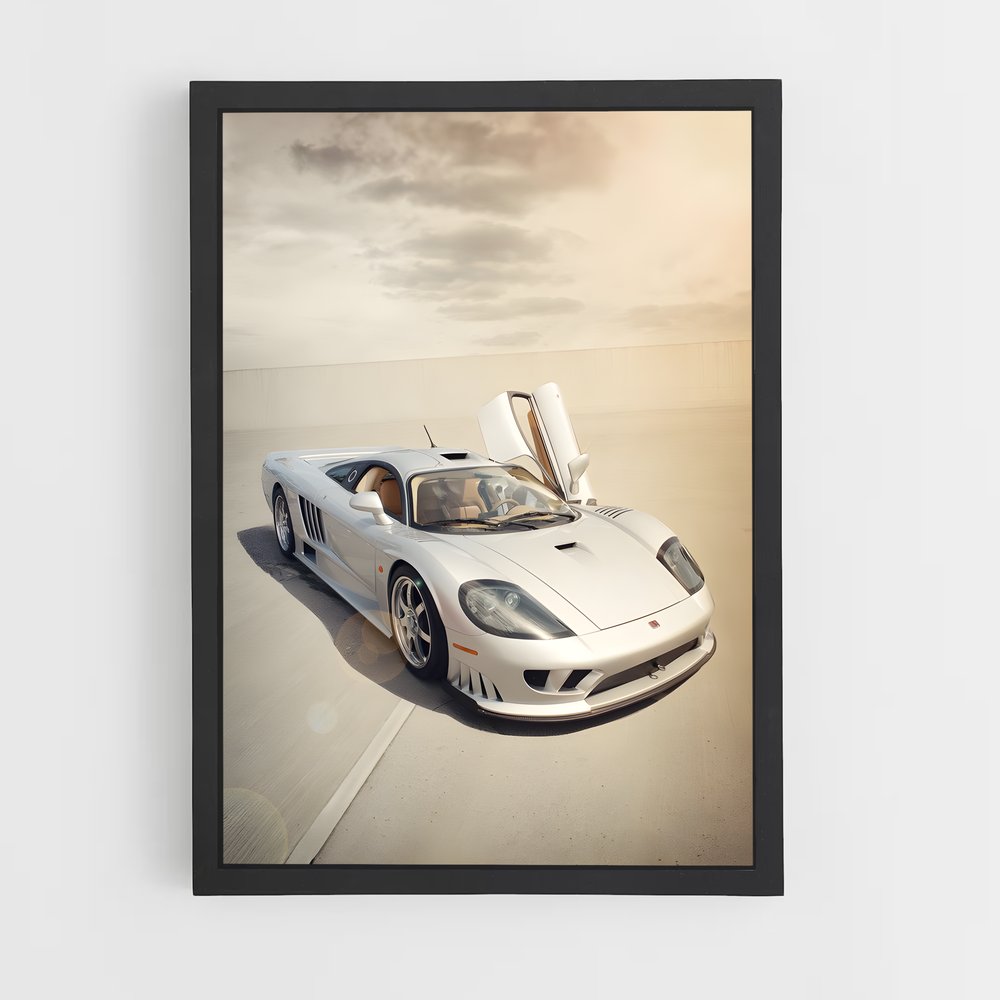 Poster Saleen magnifique (vue 2)