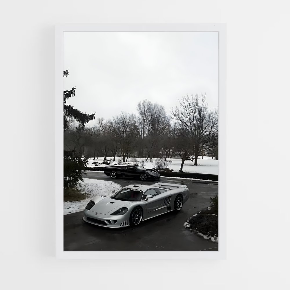 Poster Neige Argentée – affiche Saleen (vue 3)