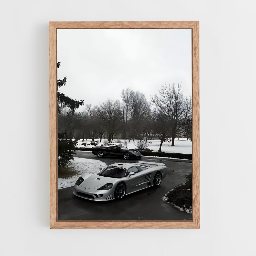 Poster Neige Argentée – affiche Saleen (vue 4)