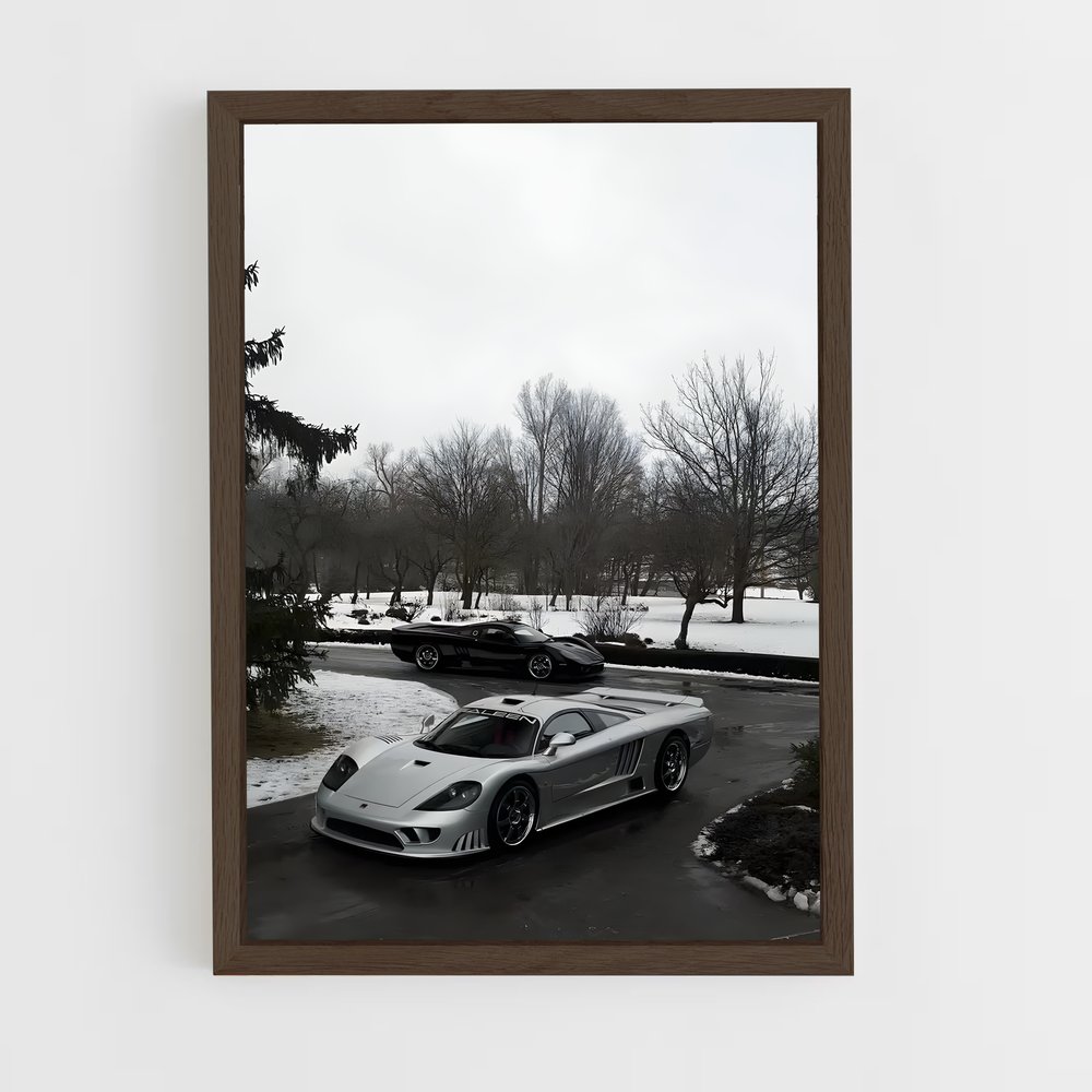 Poster Neige Argentée – affiche Saleen (vue 5)