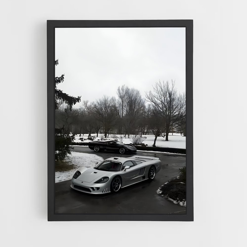 Poster Neige Argentée – affiche Saleen (vue 2)