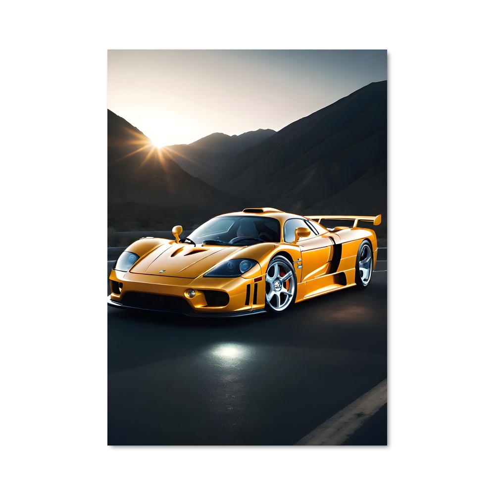 Poster Éclat Saleen