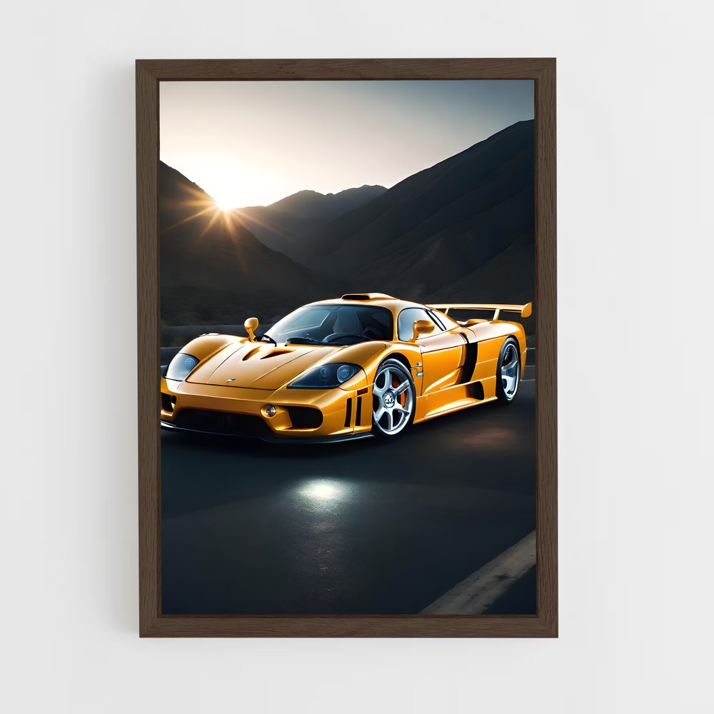 Poster Éclat Saleen (vue 5)