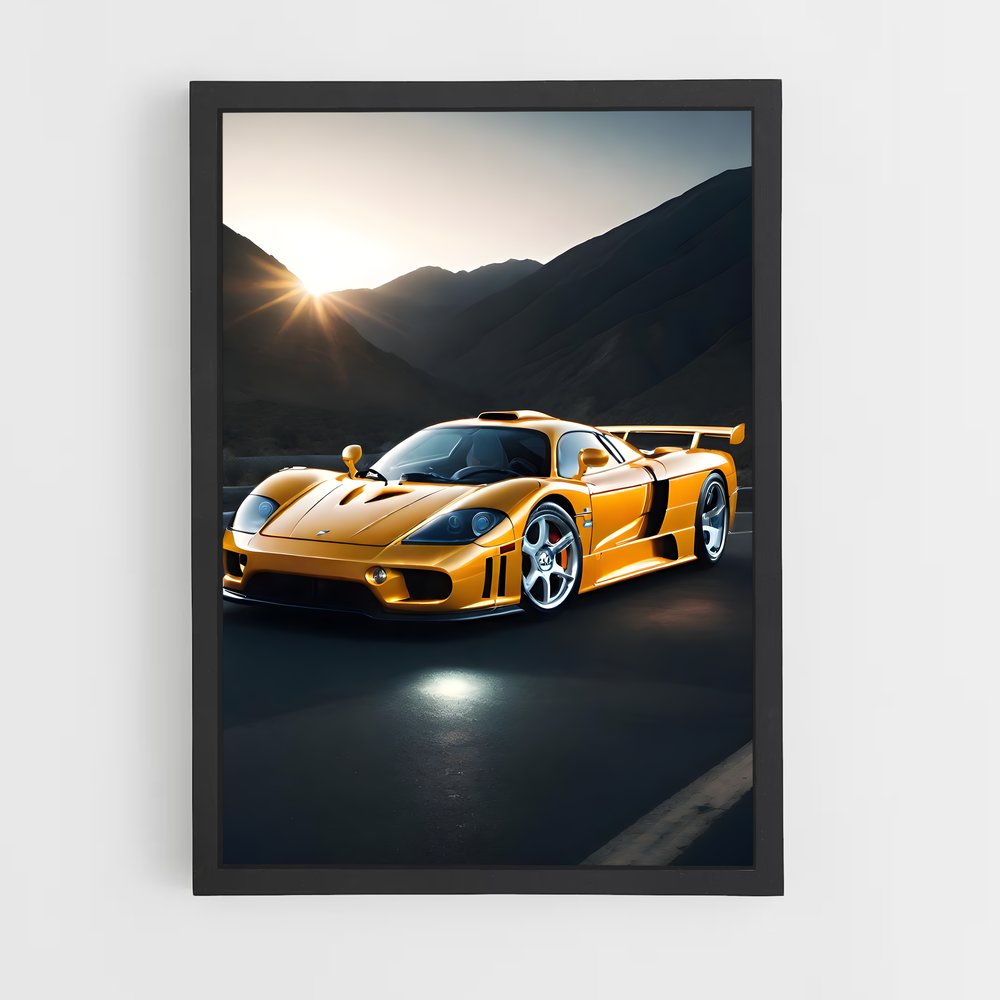 Poster Éclat Saleen (vue 2)