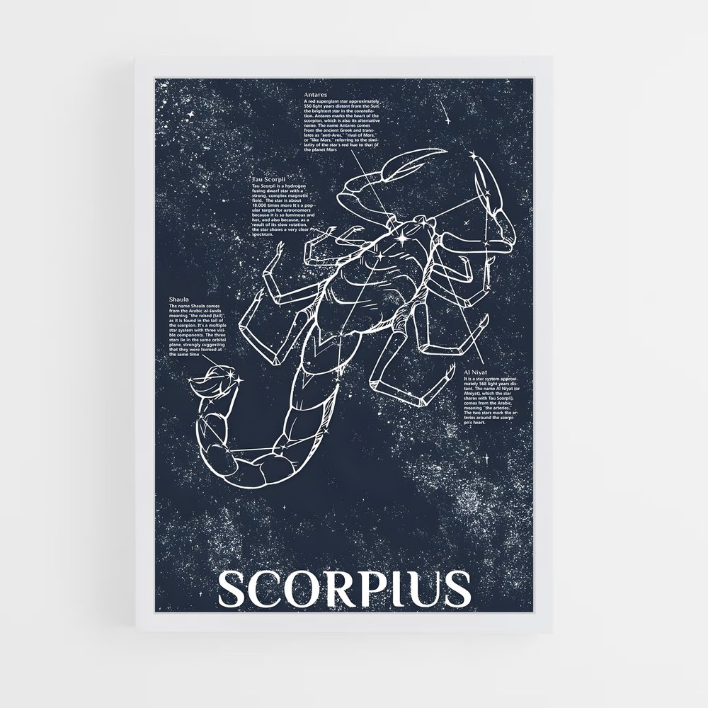 Poster Zodiacal Scorpius – affiche Constellations (vue 3)