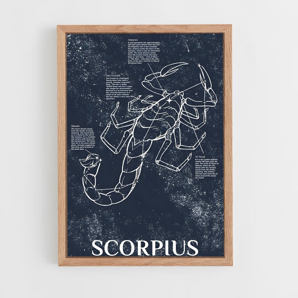 Poster Zodiacal Scorpius – affiche Constellations (vue 4)