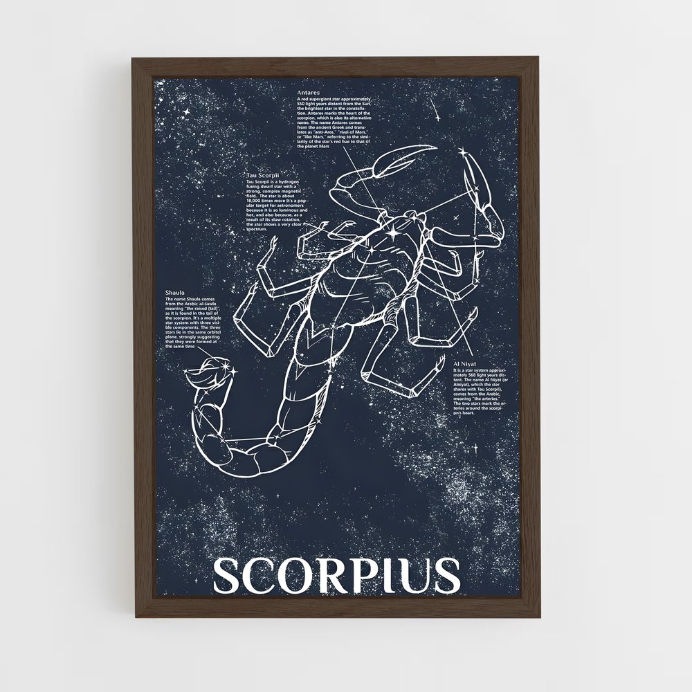 Poster Zodiacal Scorpius – affiche Constellations (vue 5)