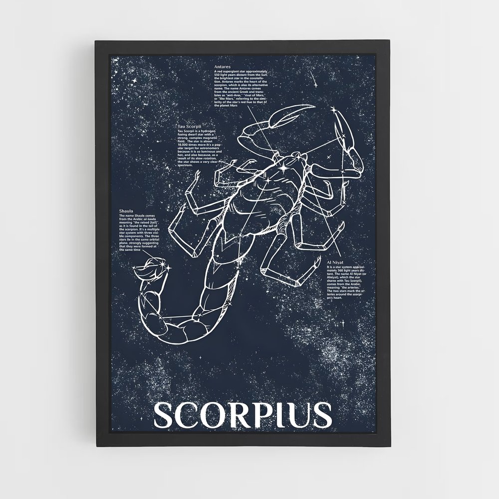 Poster Zodiacal Scorpius – affiche Constellations (vue 2)
