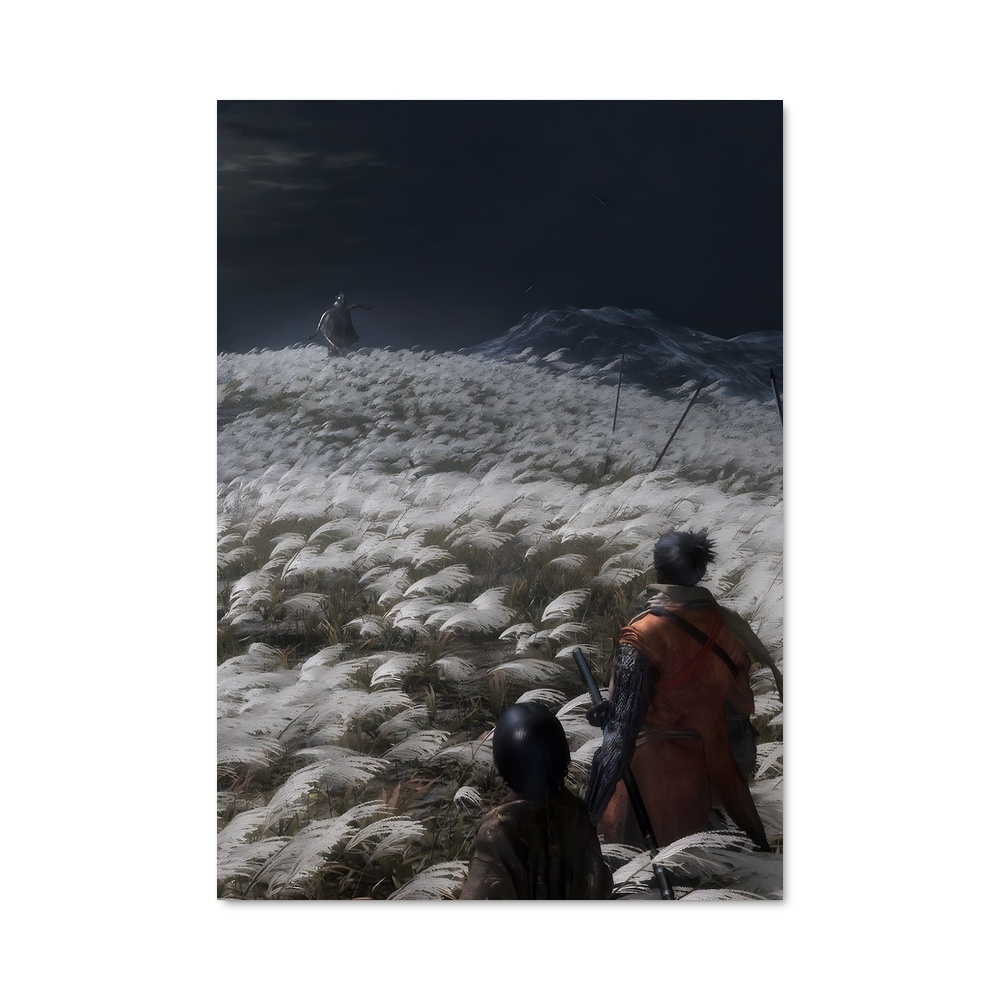 Poster Sorcière du Nord