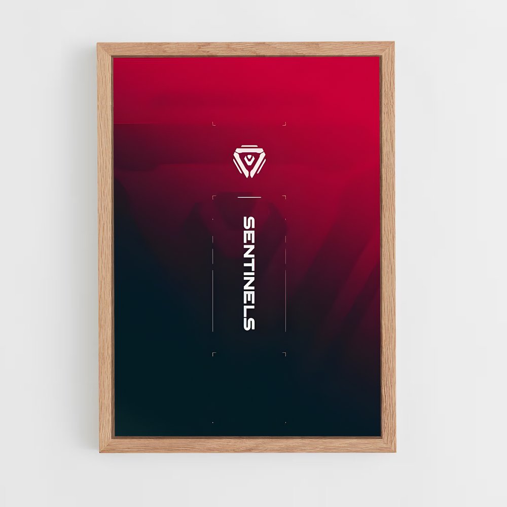 Poster Sentinel Noir – affiche Esports (vue 4)