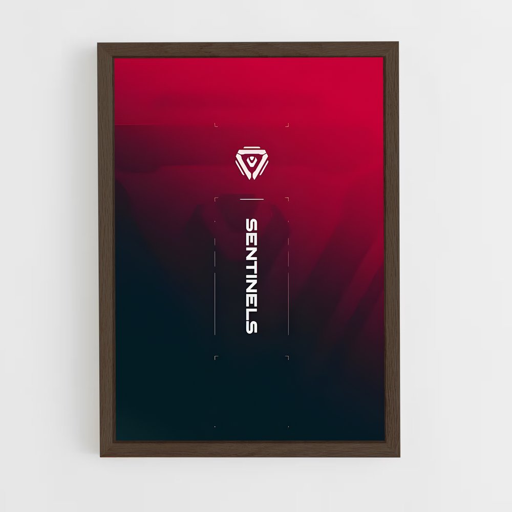 Poster Sentinel Noir – affiche Esports (vue 5)