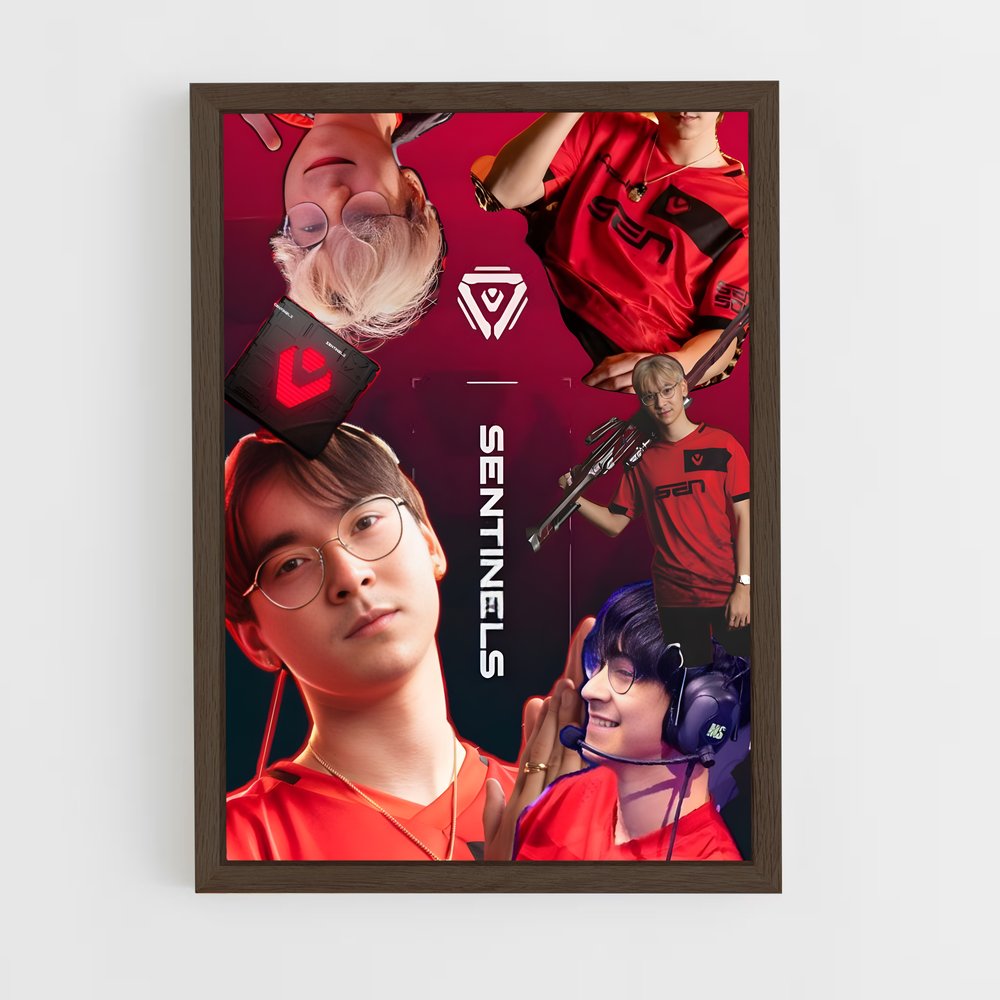 Poster Les Gardiens de l'Alliance – affiche Esports (vue 5)