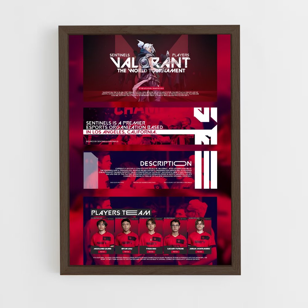 Poster Sentinels créativité – affiche Esports (vue 5)