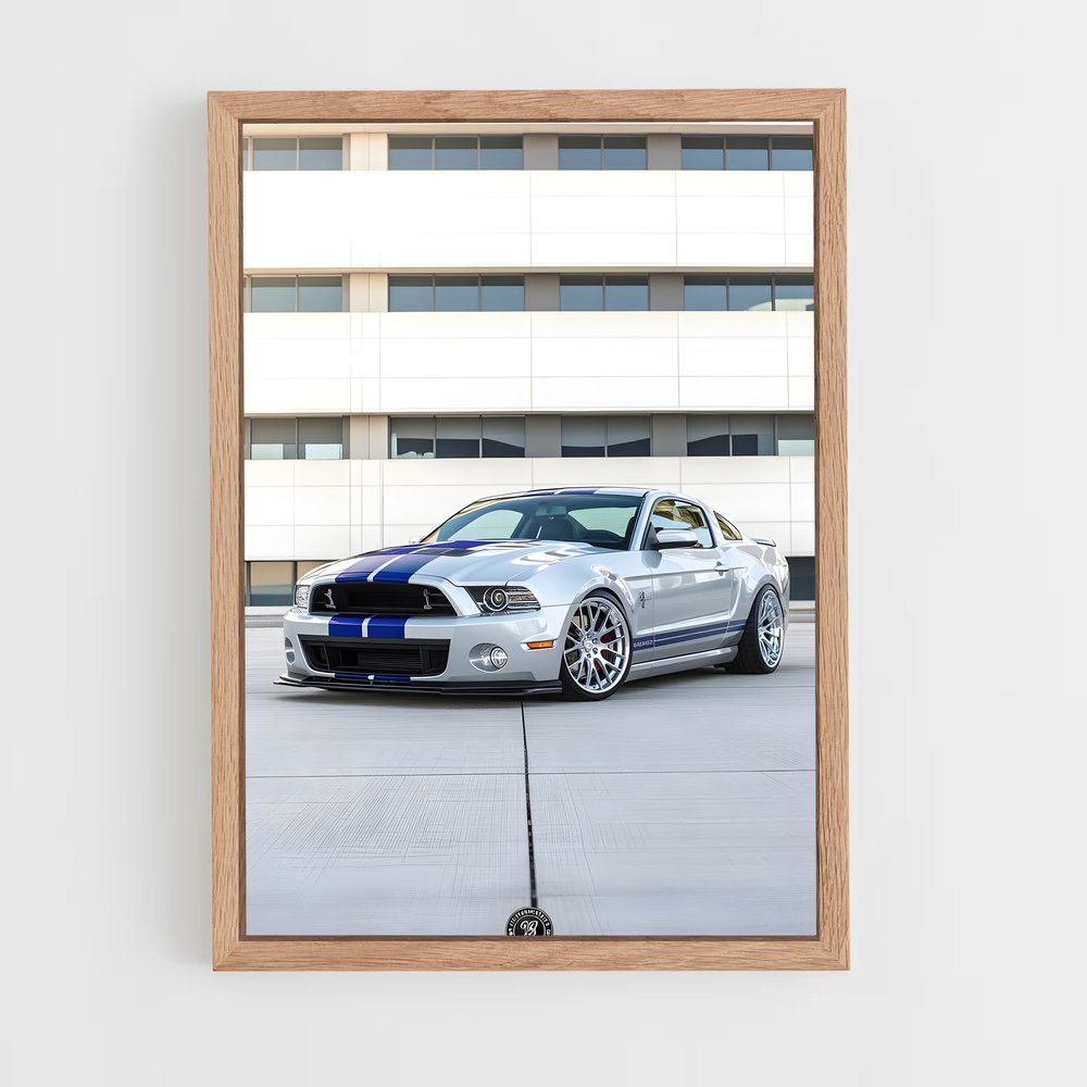 Poster Mustang Mania – affiche Shelby (vue 4)