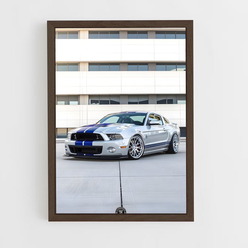 Poster Mustang Mania – affiche Shelby (vue 5)